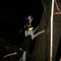 Joseph Tackett Photo 20