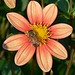 Juanita Flowers Photo 30