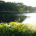 Beverly Pond Photo 18
