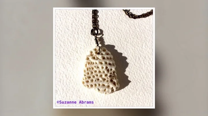 Suzanne Abrams Photo 16