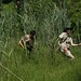 Susan Pell Photo 32