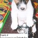 Russell Dotson Photo 25