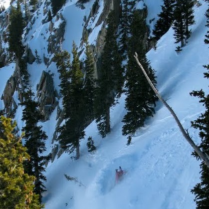Travis Wade Photo 14