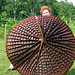 Carol Armour Photo 22