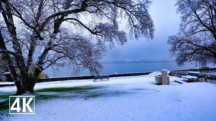 Geneva Rains Photo 4