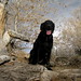 Amanda Wadsworth Photo 36