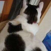 Anita Sthilaire Photo 1
