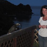 Amanda Elliot Photo 7