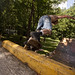 Frank Pickens Photo 23