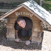 Bernard Busch Photo 11