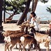Sandra Chew Photo 21