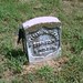 William Sleeth Photo 15
