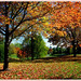 Ann Hunt Photo 44