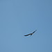 Karen Stork Photo 32