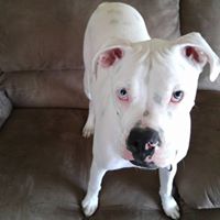 Christopher Parrett Photo 4