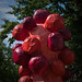 John Malmberg Photo 18