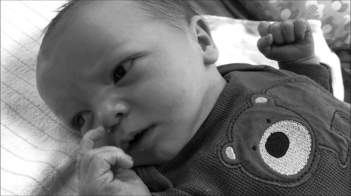 Nicholas Garman Photo 12
