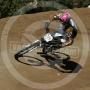 Wade Harrison Photo 22
