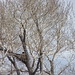 Debra Eagles Photo 26