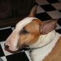 Shirley Madison Photo 18