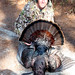 Ben Conner Photo 36