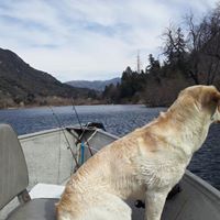 Kyle Heins Photo 3