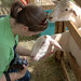 Megan Lamb Photo 39