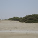 Mark Trautmann Photo 19