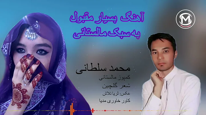 Mohammad Soltani Photo 24