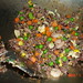 Chao Fan Photo 22