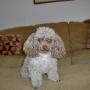 Tim Lyman Photo 23