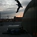 Kyle Roof Photo 28