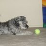 Jason Temple Photo 16