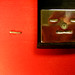 Karl Staples Photo 12