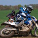 Neil Cavanagh Photo 29