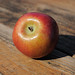 James Apple Photo 42