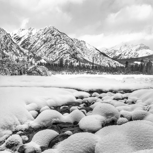 Christopher Chow Photo 16