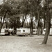 Noe Aranda Photo 31