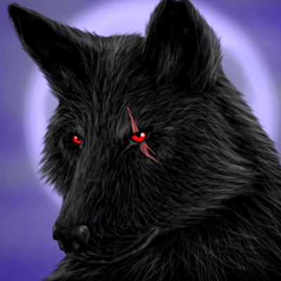 Anthony Wolf Photo 15