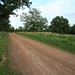 John Nickel Photo 42