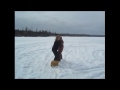Melissa Macintyre Photo 20