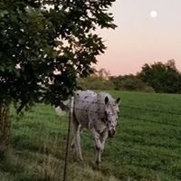 Sue Cook Photo 6
