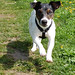 Sandra Russell Photo 45