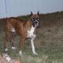 Rashawn Miller Photo 13