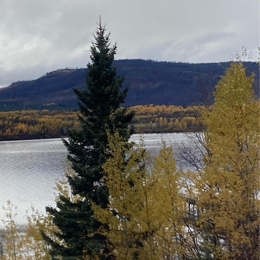 Linda Delong Photo 9