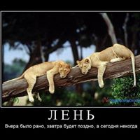 Andrey Orlov Photo 6