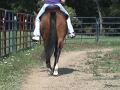 Shirley Horseman Photo 9