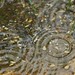 Tyrone Flood Photo 11