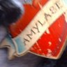 Amy Beecher Photo 11
