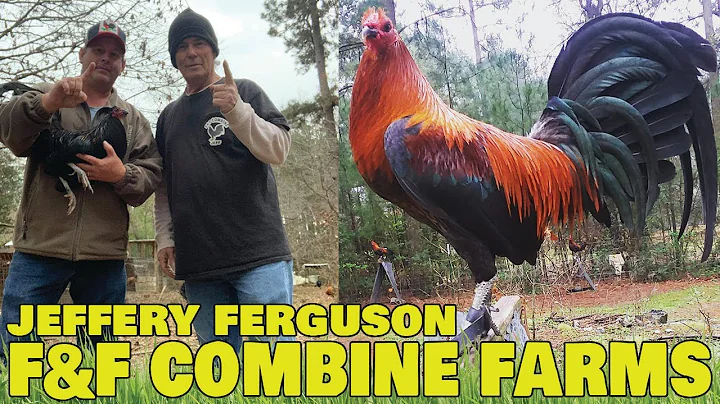 Jeffrey Ferguson Photo 54